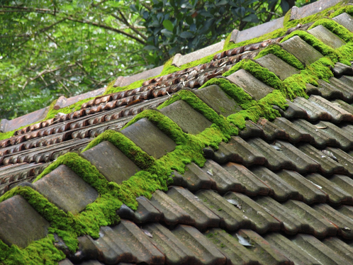 Démoussage de toiture à Chailly-sur-Armançon